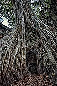 Ta Prohm temple - ruins of the central sanctuary